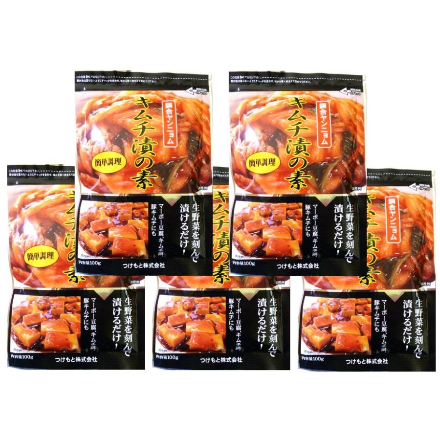キムチ漬の素 100g×5袋 奈良つけもん屋 （メール便）つけもと 国内加工