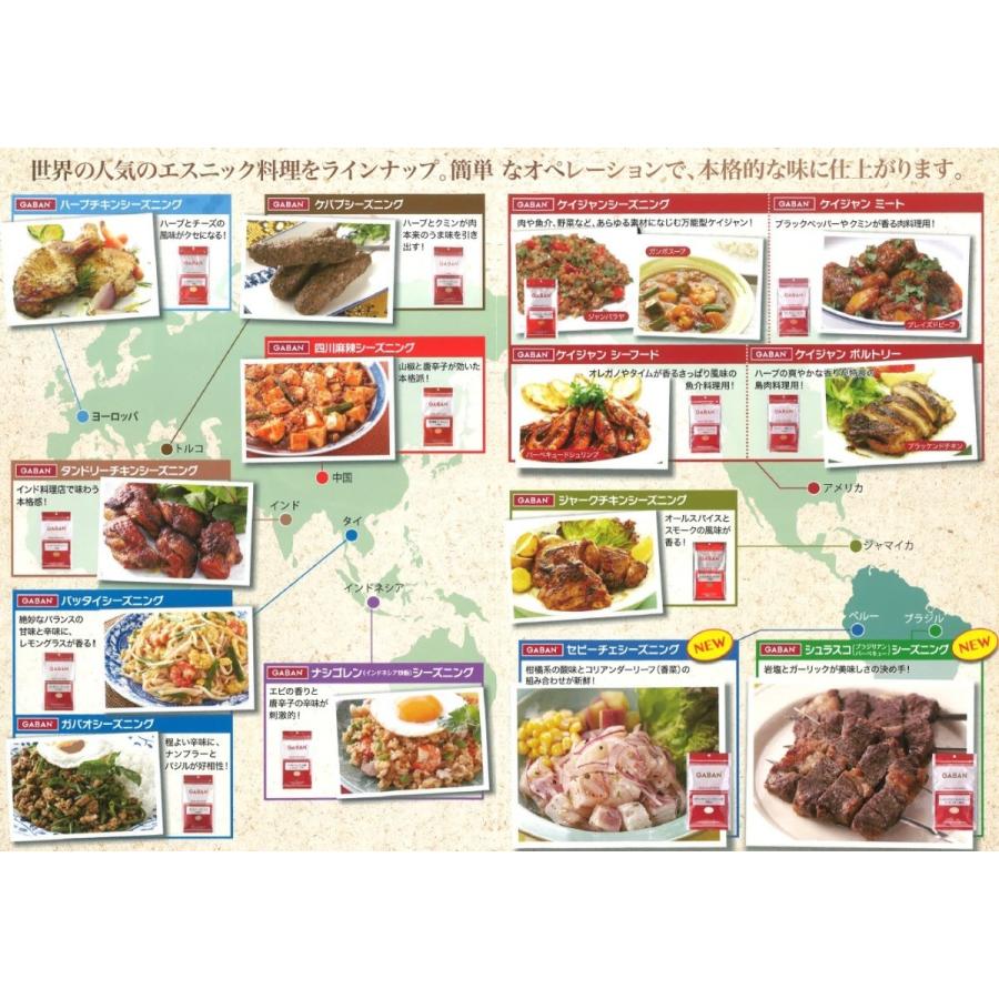 メール便送料無料 Gaban ジャークチキンシーズニング 袋 100ｇ 3袋 ミックススパイス ハウス食品 香辛料 パウダー 業務用 42330 食べもんぢから Yahoo 店 通販 Yahoo ショッピング