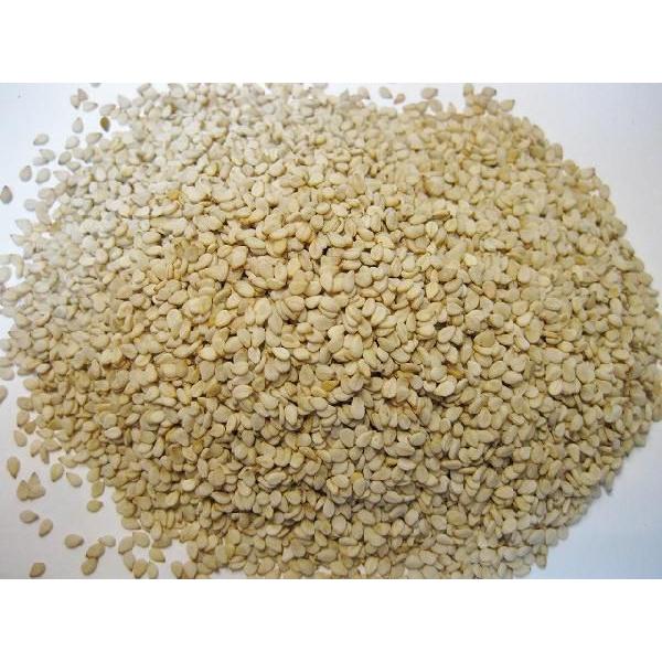 白洗いごま 1kg 生胡麻 胡麻屋の底力 白胡麻 白ごま しろごま 国内