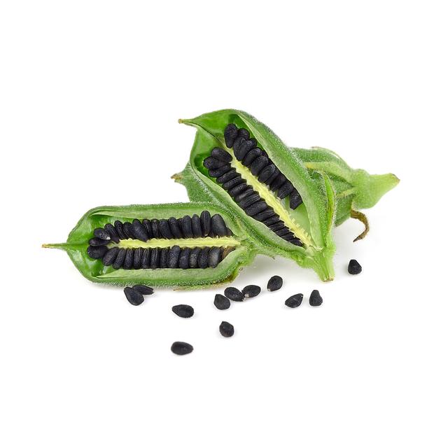 黒すりごま 1kg 胡麻屋の底力 黒胡麻 黒ごま くろごま 黒すり胡麻 炒り胡麻 国内加工 製菓材料 乾物 製パン 業務用 |  | 04