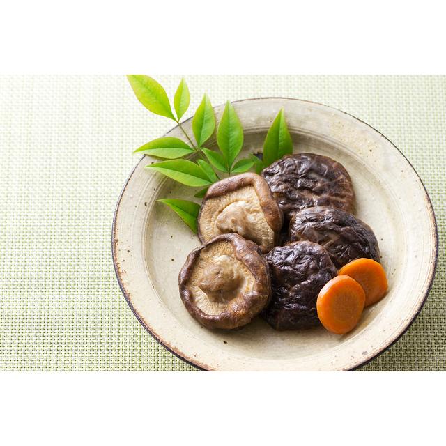 干し椎茸 どんこ 500g 原木栽培 大分県産 乾物屋の底力 乾椎茸 乾燥