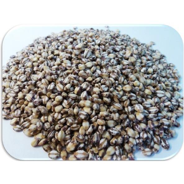 もち麦 1kg 豆力 国産 もちむぎ 大麦 裸麦 国内産 雑穀 国内加工 穀物