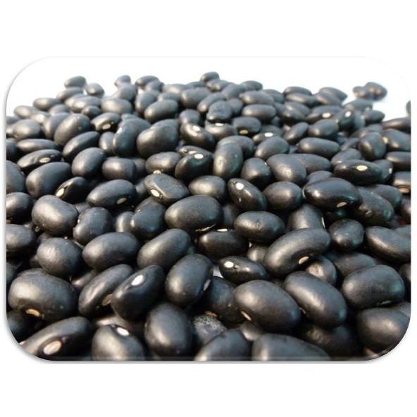 まめやの底力 カナダ産 Br 黒インゲン豆 ブラックビーン 1ｋg 黒豆 輸入豆 フェイジョン プレット 707 食べもんぢから Yahoo 店 通販 Yahoo ショッピング