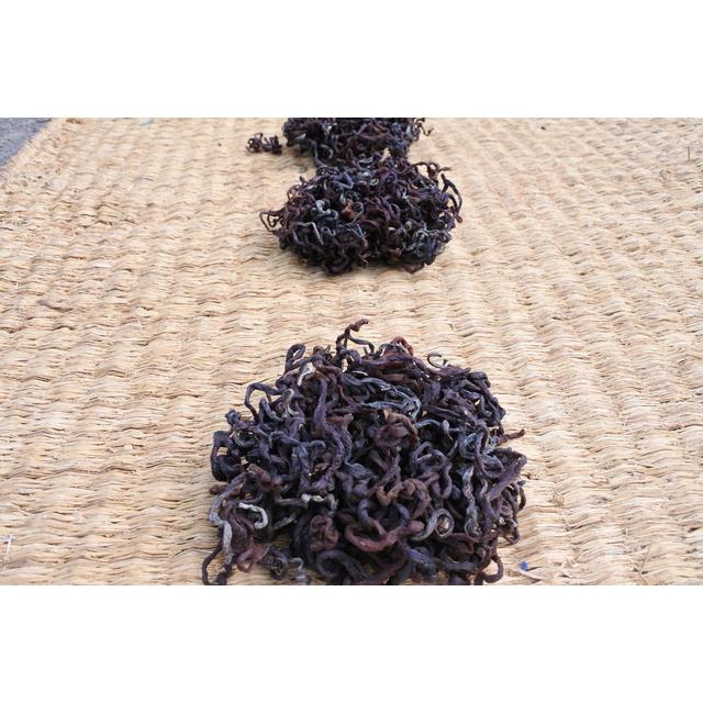 乾燥ぜんまい 500g 徳島県産 天日干し 乾物屋の底力 国産 国内産 乾燥ぜんまい 500g 徳島県産 天日干し 乾物屋の底力 国産 国内産