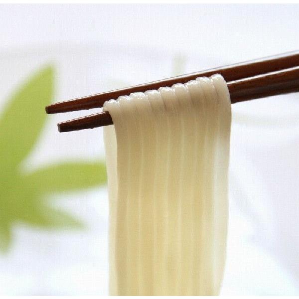 半田そうめん 200g 手延べ 徳島県産 乾物屋の極上乾麺 半田素麺 阿波