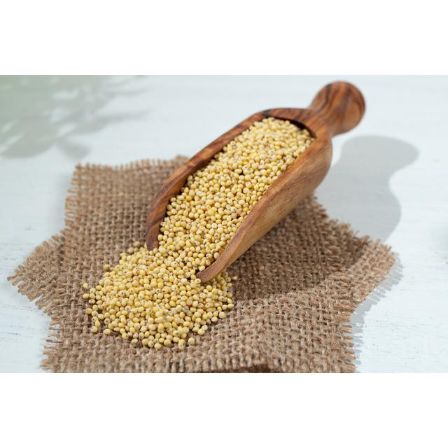 もちきび 1kg 豆力 国産 国内産 黍 雑穀 もち黍 国内加工 きび いなきび 餅黍 穀物 雑穀米 |  | 02