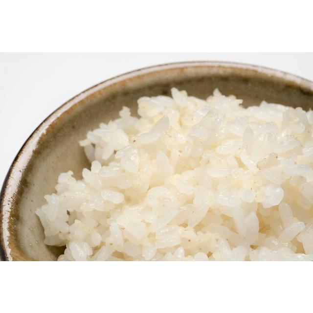 もちきび 1kg 豆力 国産 国内産 黍 雑穀 もち黍 国内加工 きび いなきび 餅黍 穀物 雑穀米 |  | 03