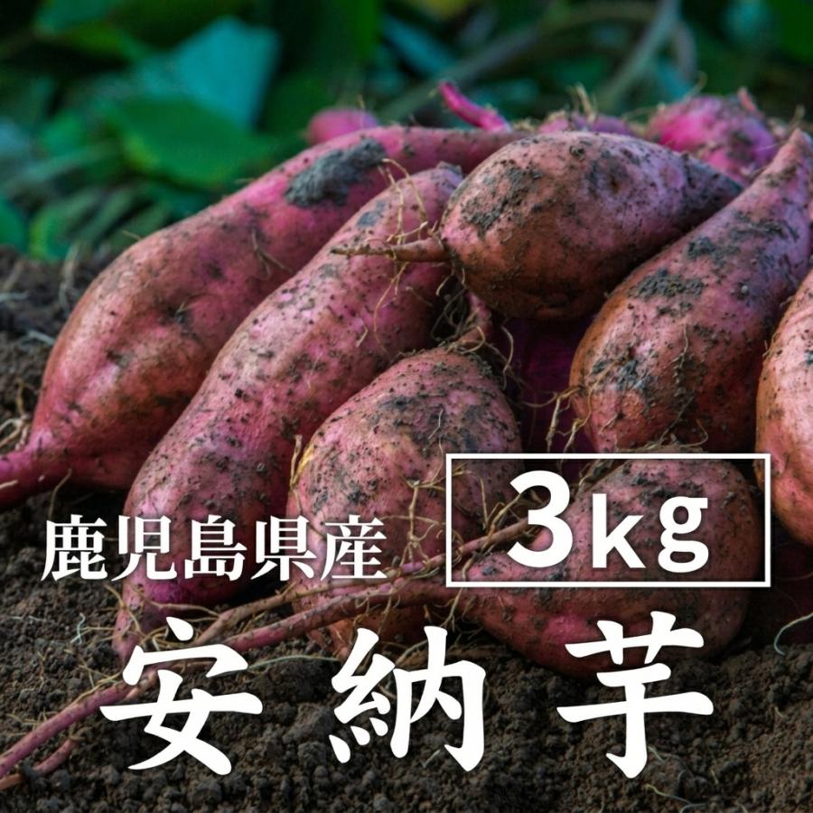 さつまいも 安納芋 3kg 土付き生芋 大小サイズ混在 鹿児島県産 安納いも あんのう さつま芋 2026年産 | 