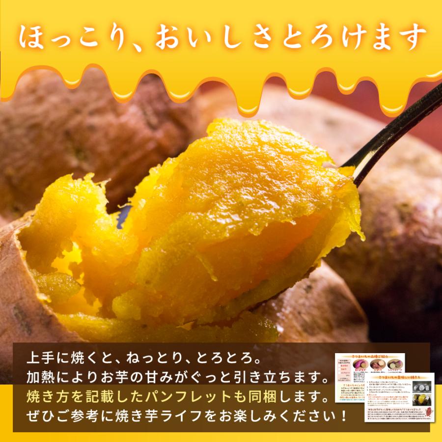 さつまいも 安納芋 5kg 土付き生芋 大小サイズ混在 鹿児島県産 安納いも あんのう さつま芋 2025年産 |  | 02