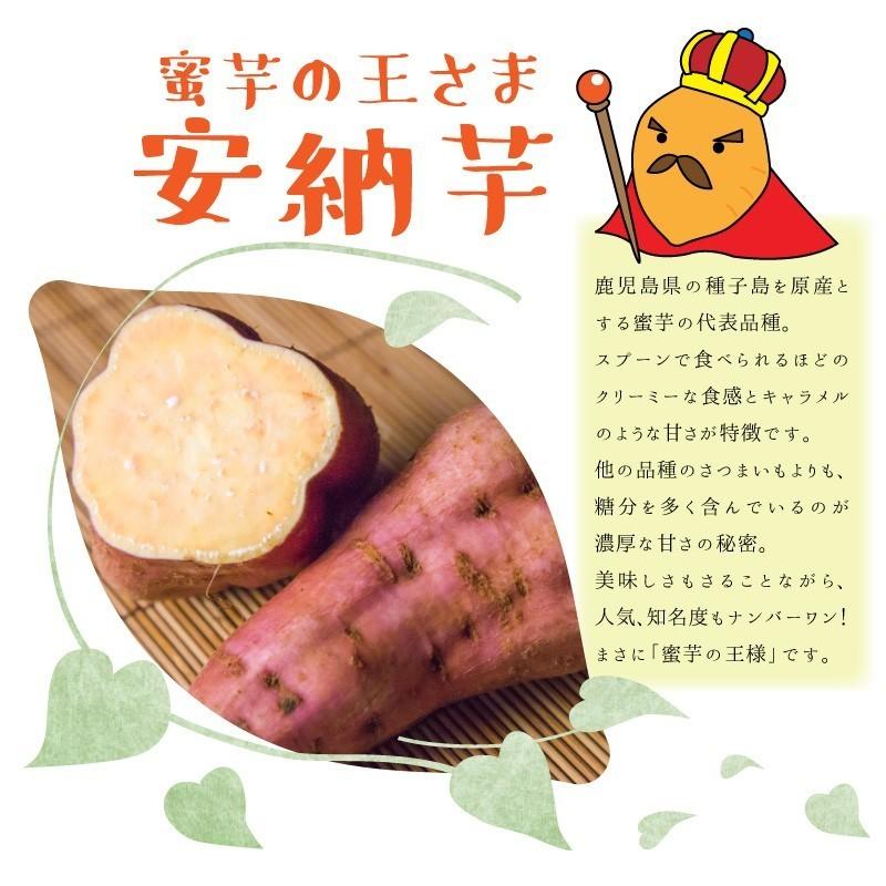 さつまいも 安納芋 20kg 土付き生芋 大小サイズ混在 鹿児島県産 安納 
