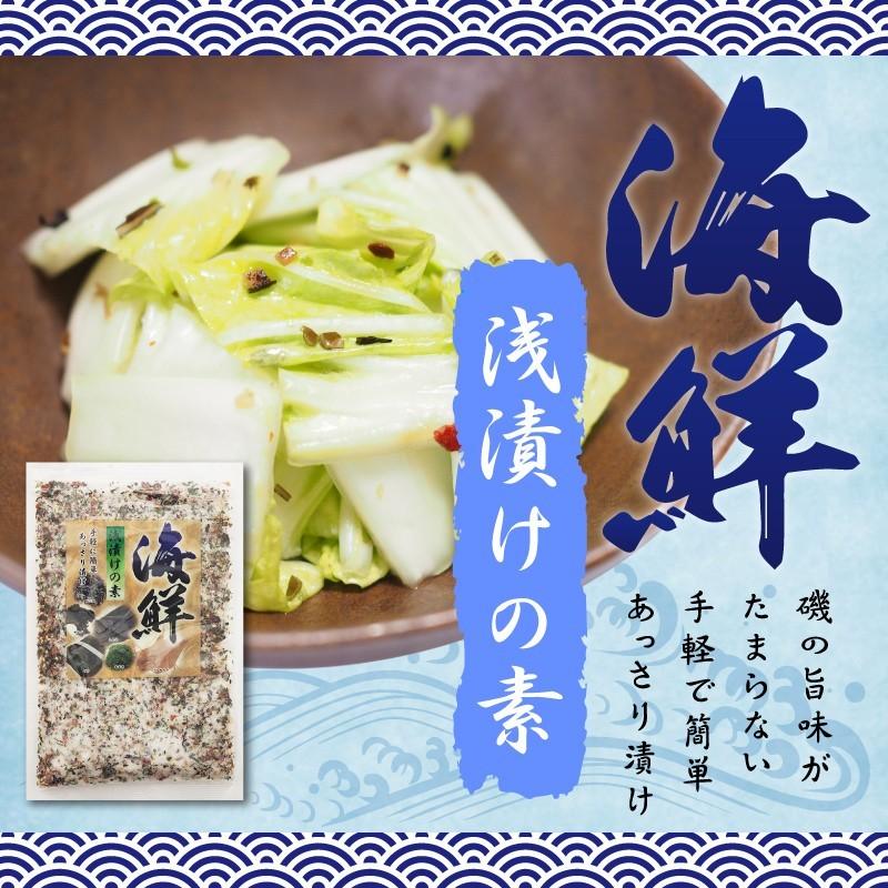 海鮮浅漬けの素 230g ネコポス便で迅速お届け | 