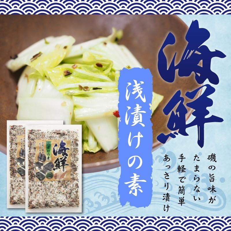 海鮮浅漬けの素 230g×2袋セット | 