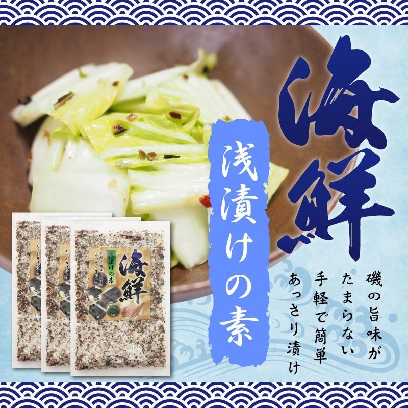 海鮮浅漬けの素 230g×3袋セット | 