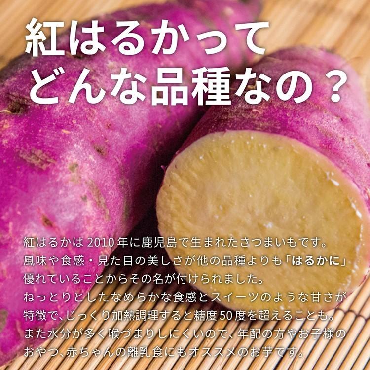 さつまいも 紅はるか ベビーサイズ 土付き 10kg 9kg 傷み保証分1kg 130g以下のss Sサイズのさつまいもをお届けします Babyharuka10 かごしま たべものがたり 通販 Yahoo ショッピング