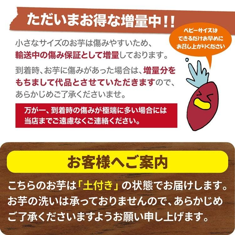 さつまいも 紅はるか ベビーサイズ 土付き 10kg 9kg 傷み保証分1kg 130g以下のss Sサイズのさつまいもをお届けします Babyharuka10 かごしま たべものがたり 通販 Yahoo ショッピング
