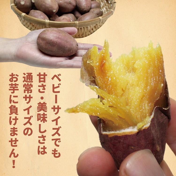 さつまいも シルクスイート ベビーサイズ 土付き 10kg (9kg+傷み保証分1kg) (130g以下のSS〜Sサイズのさつまいもをお届けします） |  | 02