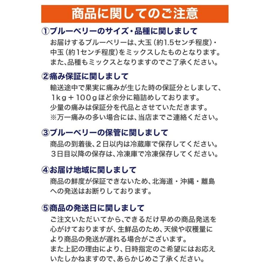無農薬・有機肥料栽培 完熟ブルーベリー 2kg 鹿児島県産 冷蔵便発送 |  | 03