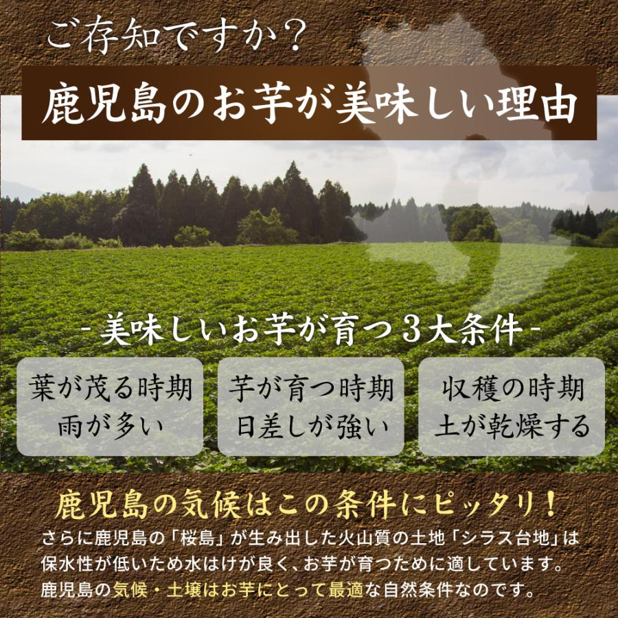 さつまいも 紅はるか 5kg （土付き・大小サイズ混在） 2025年産長期熟成 鹿児島県産 べにはるか |  | 03