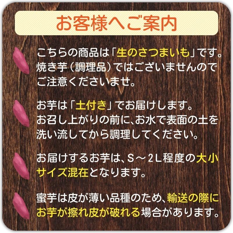 さつまいも 紅はるか 10kg （土付き・大小サイズ混在） 2025年産長期熟成 鹿児島県産 べにはるか |  | 08