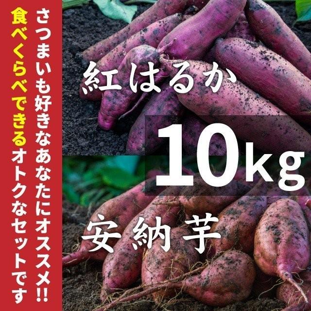 さつまいも 紅はるか & 安納芋 10kg 食べくらべセット 土付き 大小サイズ混在 鹿児島県産 さつま芋 | 
