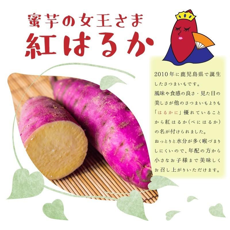さつまいも 紅はるか & 安納芋 10kg 食べくらべセット 土付き 大小サイズ混在 鹿児島県産 さつま芋 |  | 01