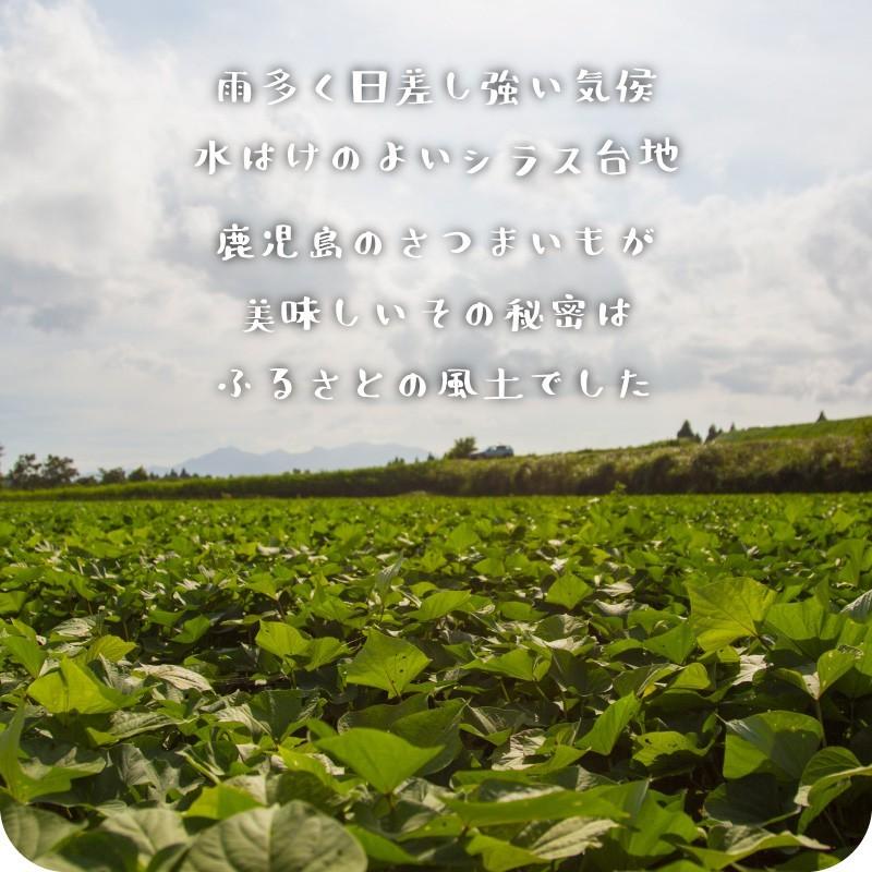 さつまいも 紅はるか & シルクスイート 5kg 食べくらべセット 土付き 大小サイズ混在 鹿児島県産 べにはるか |  | 05