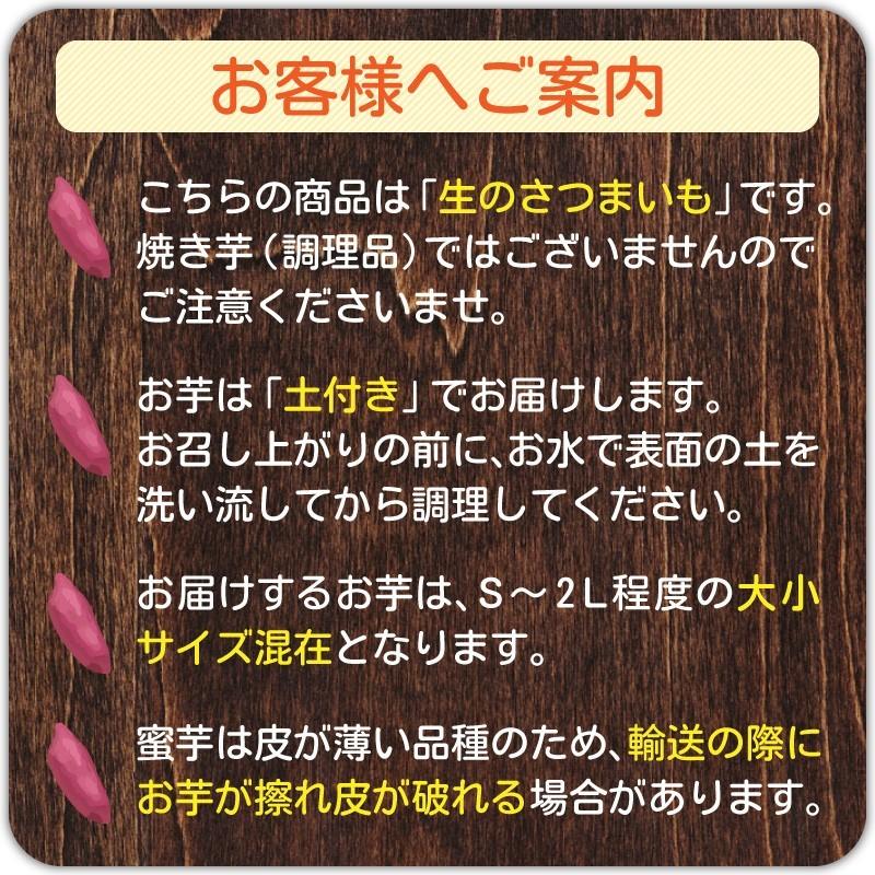 さつまいも 紅はるか & シルクスイート 5kg 食べくらべセット 土付き 大小サイズ混在 鹿児島県産 べにはるか |  | 09