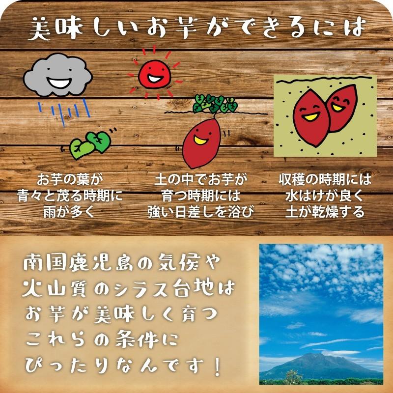 さつまいも 紅はるか & シルクスイート 10kg 食べくらべセット 土付き 大小サイズ混在 鹿児島県産 べにはるか |  | 04