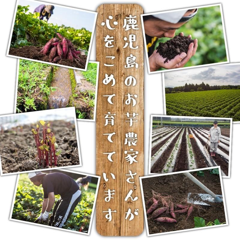 さつまいも 紅はるか & シルクスイート 10kg 食べくらべセット 土付き 大小サイズ混在 鹿児島県産 べにはるか |  | 06