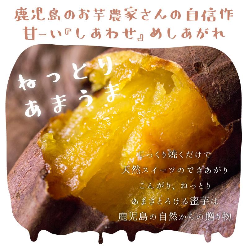 紅はるか 訳あり品 5kg (4kg+保証分1kg) 土付き 無選別 さつまいも :beniwake005:かごしま たべものがたり - 通販