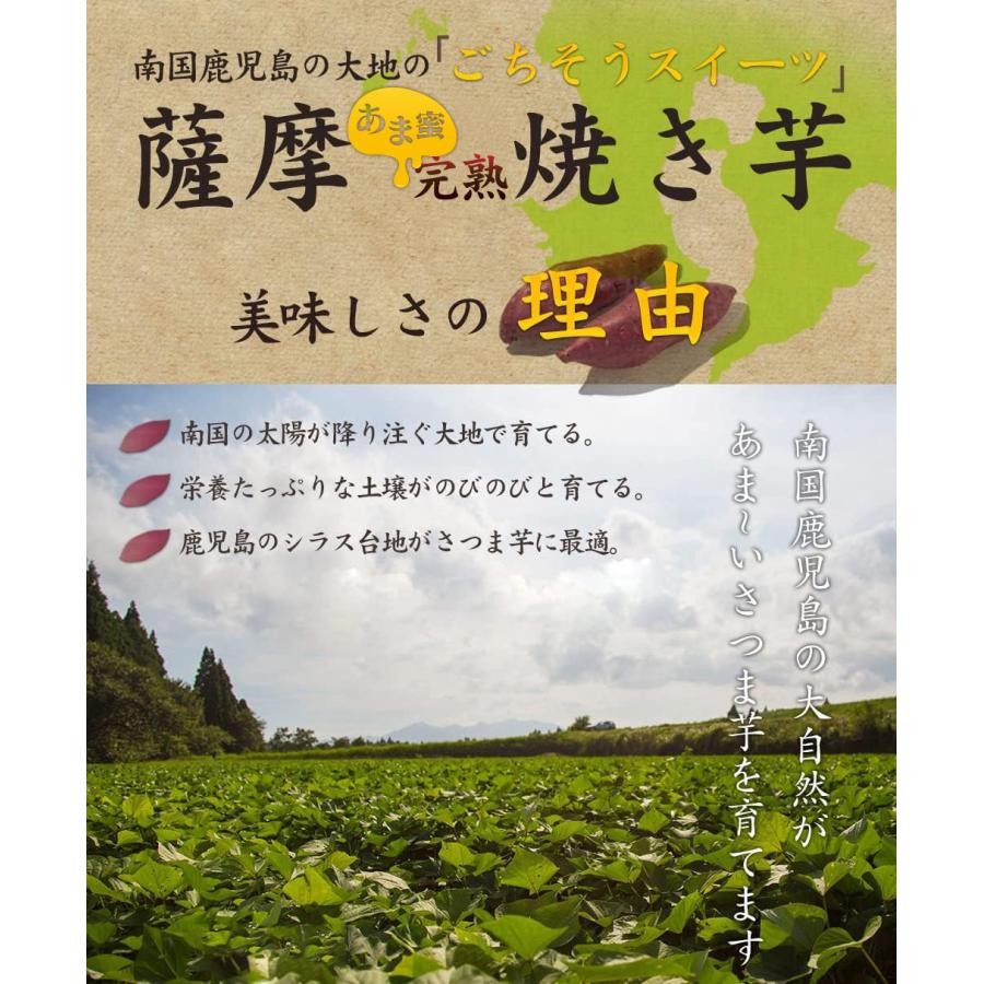 薩摩 あま蜜 完熟焼き芋 紅はるか 3kg（冷凍焼き芋・大小サイズ混合）さつまいも べにはるか さつま芋 焼き芋｜tabemonogatari｜05