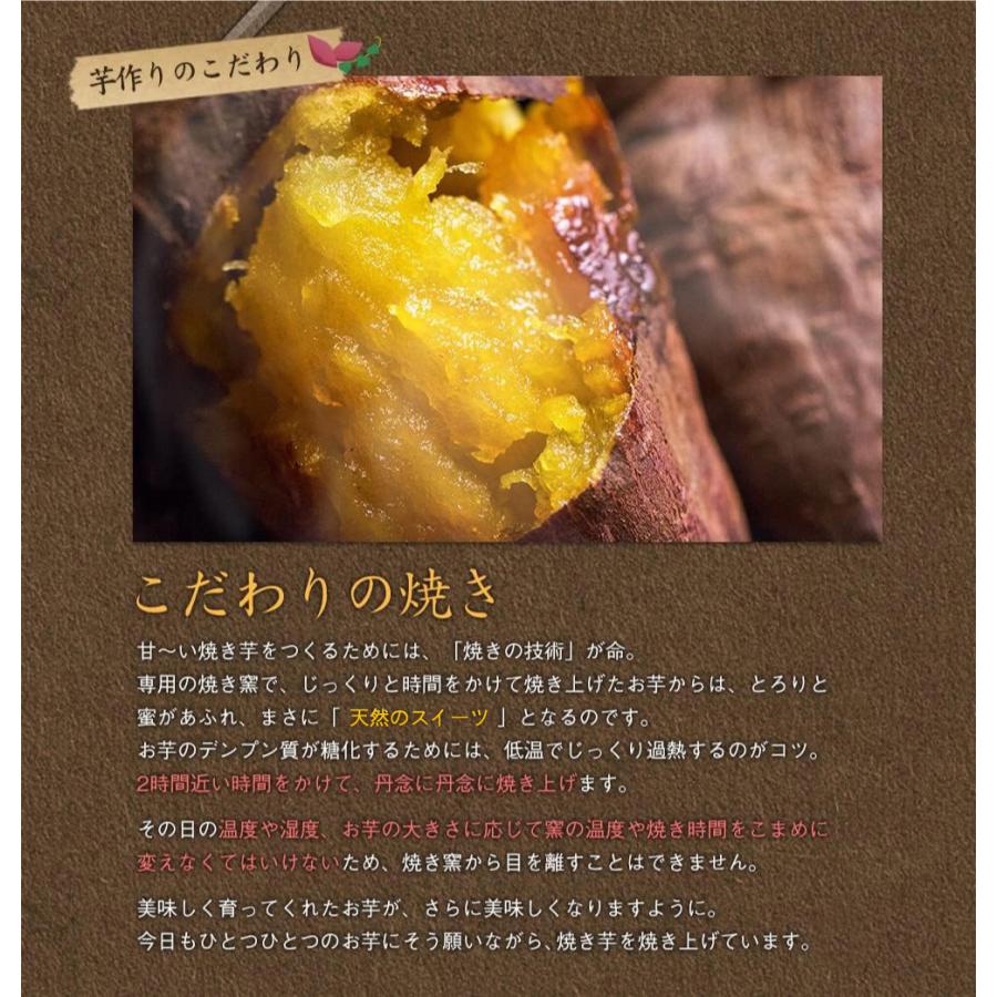 薩摩 あま蜜 完熟焼き芋 紅はるか 3kg（冷凍焼き芋・大小サイズ混合