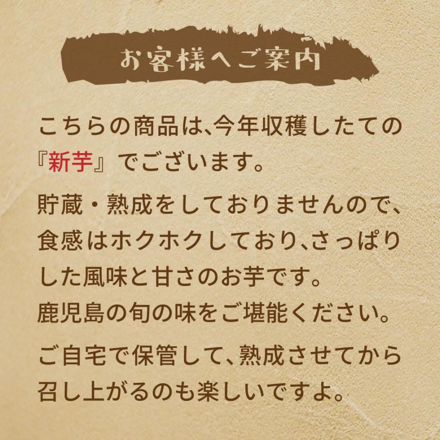 22年新物 さつまいも 紅はるか ベビーサイズ 土付き 10kg 9kg 傷み保証分1kg 130g以下のss Sサイズ Shinbaby010 かごしま たべものがたり 通販 Yahoo ショッピング