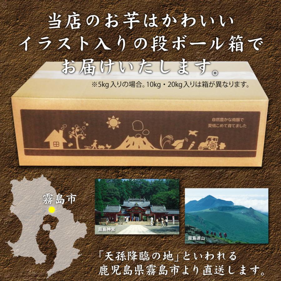 2025年新物 さつまいも 紅はるか 3kg （土付き・大小サイズ混在）ほくほく食感でさっぱりした甘さ 鹿児島県産 べにはるか |  | 02