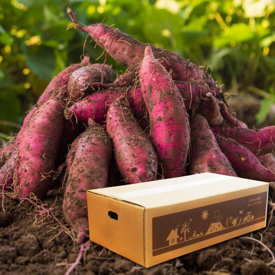 2025年新物 さつまいも 紅はるか 5kg （土付き・大小サイズ混在）ほくほく食感でさっぱりした甘さ 鹿児島県産 べにはるか | 