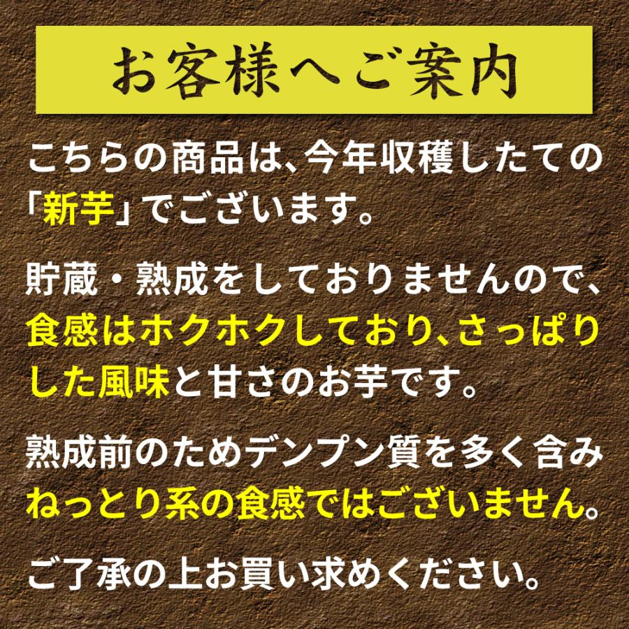 2025年新物 さつまいも 紅はるか 5kg （土付き・大小サイズ混在）ほくほく食感でさっぱりした甘さ 鹿児島県産 べにはるか |  | 01
