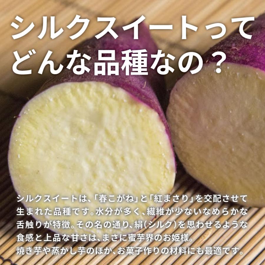 2024年新物 さつまいも シルクスイート 3kg （土付き・大小サイズ混在）ほくほく食感でさっぱりした甘さ 鹿児島県産 |  | 02
