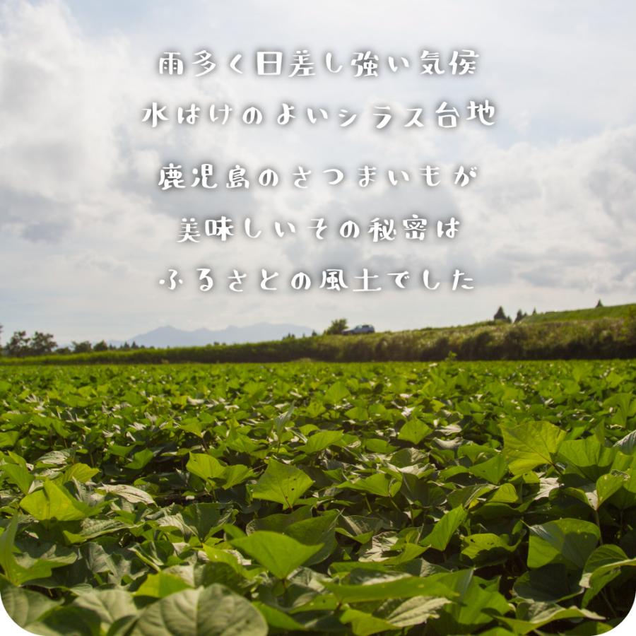 2024年新物 さつまいも シルクスイート 3kg （土付き・大小サイズ混在）ほくほく食感でさっぱりした甘さ 鹿児島県産 |  | 06