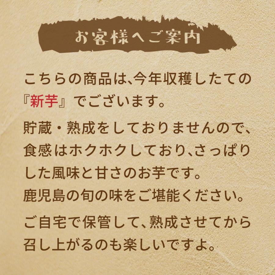 2024年新物 さつまいも シルクスイート 10kg （土付き・大小サイズ混在）ほくほく食感でさっぱりした甘さ 鹿児島県産 |  | 01