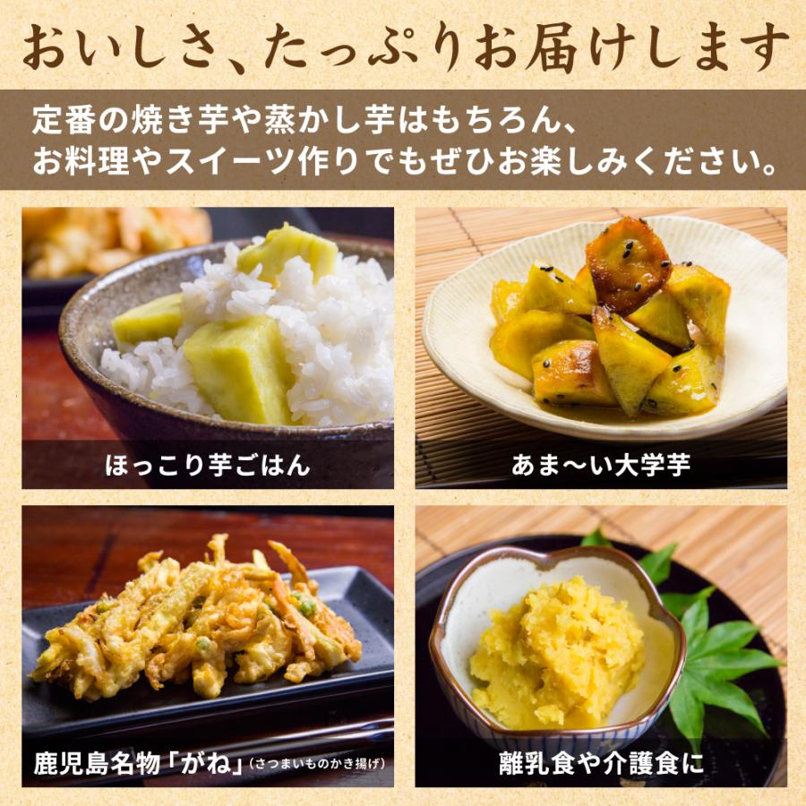 2026年新物 さつまいも シルクスイート 10kg （土付き・大小サイズ混在）ほくほく食感でさっぱりした甘さ 鹿児島県産 |  | 05
