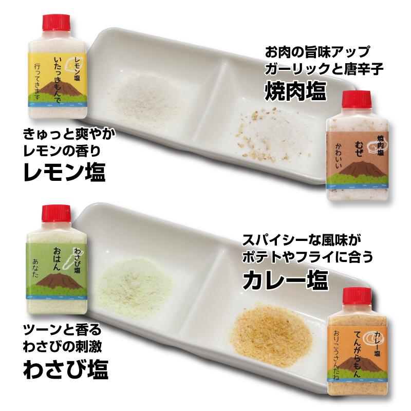 鹿児島方言 塩アラカルト 変わり塩10種セット 15g×10種入 |  | 03