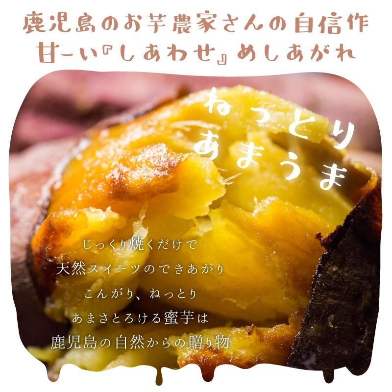 さつまいも シルクスイート 3kg （土付き・大小サイズ混在） 鹿児島県産 2025年産 |  | 07