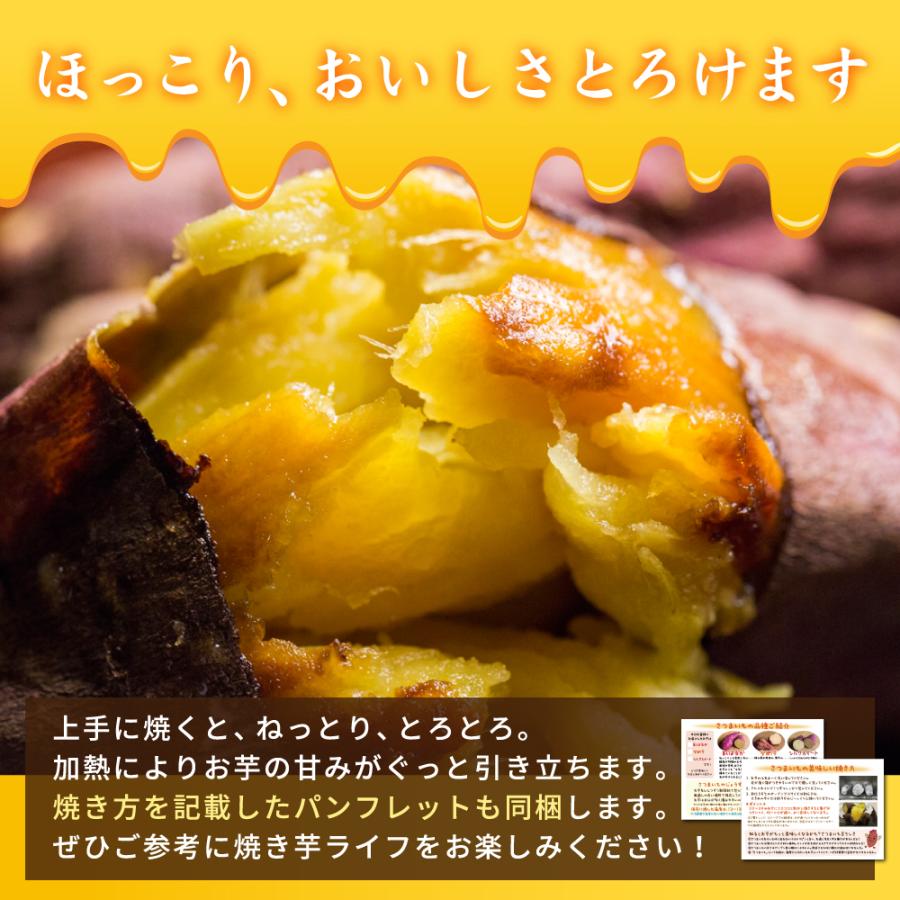 さつまいも シルクスイート 10kg （土付き・大小サイズ混在） 鹿児島県産 2026年産 |  | 02