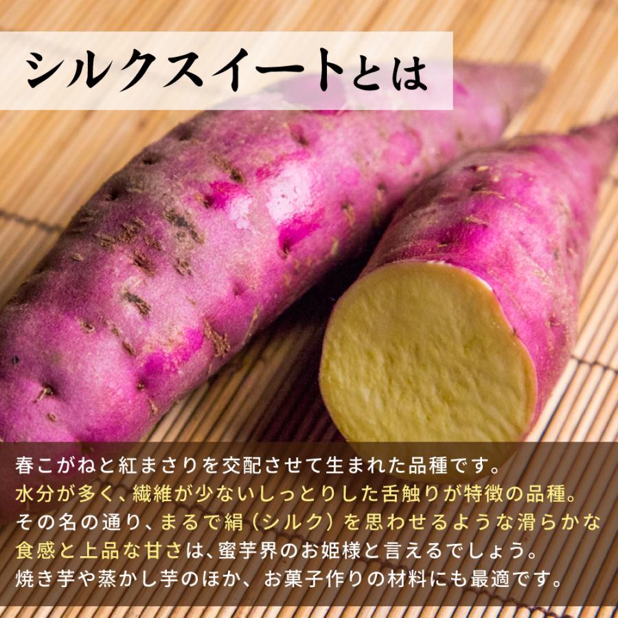 さつまいも シルクスイート 20kg （土付き・大小サイズ混在） 鹿児島県産 2026年産 |  | 01