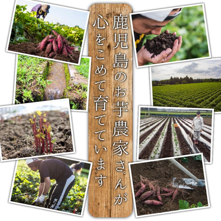 薩摩 あま蜜 完熟焼き芋 シルクスイート 4kg（冷凍焼き芋）さつまいも さつま芋 焼き芋 やきいも |  | 06