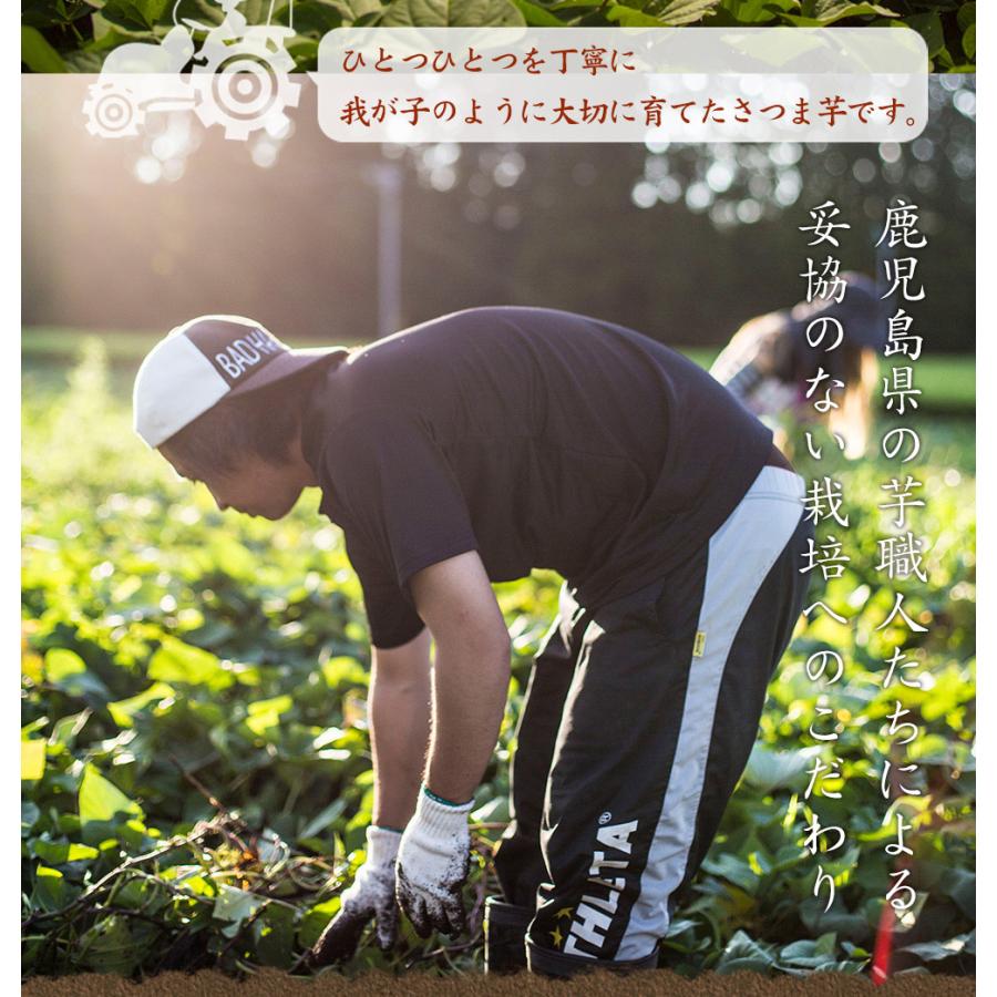 薩摩 あま蜜 完熟焼き芋 シルクスイート 5kg（冷凍焼き芋）さつまいも さつま芋 焼き芋 やきいも |  | 05
