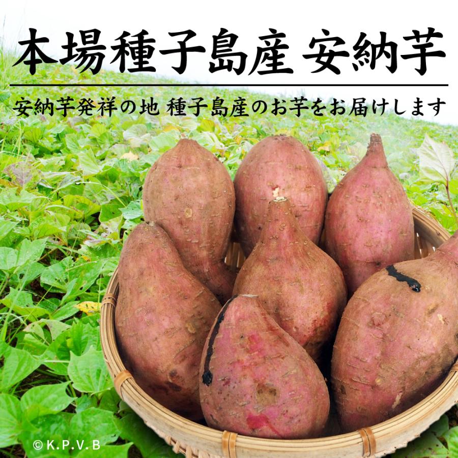 種子島産 安納芋 3kg 土付き 生芋 (SS〜Mサイズ混合)【訳あり品】さつまいも（商品出荷地：鹿児島県霧島市） |  | 01