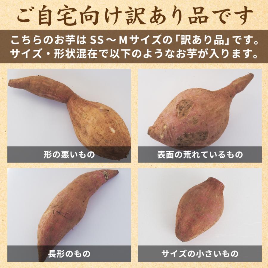 種子島産 安納芋 5kg 土付き 生芋 (SS〜Mサイズ混合)【訳あり品】さつまいも（商品出荷地：鹿児島県霧島市） |  | 03