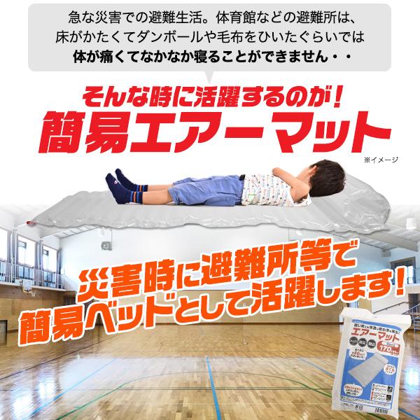 2個組 Sサイズ エアーマット クリア 2個セット (170cmx60cm) 簡易