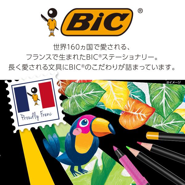 BIC（ビック） 水性デュアルチップマーカー フェルトチップ 0.7mm+